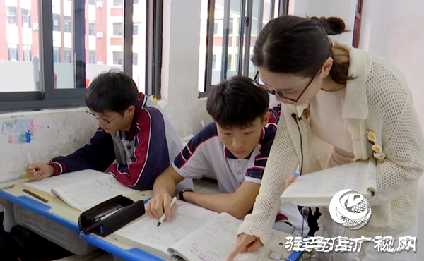  深耕“一生一策”沃土，靜待生命之花綻放