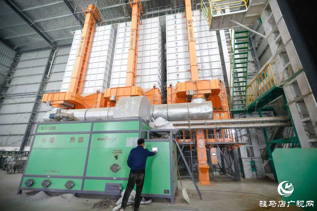 正陽縣：晝夜搶烘 保糧減損