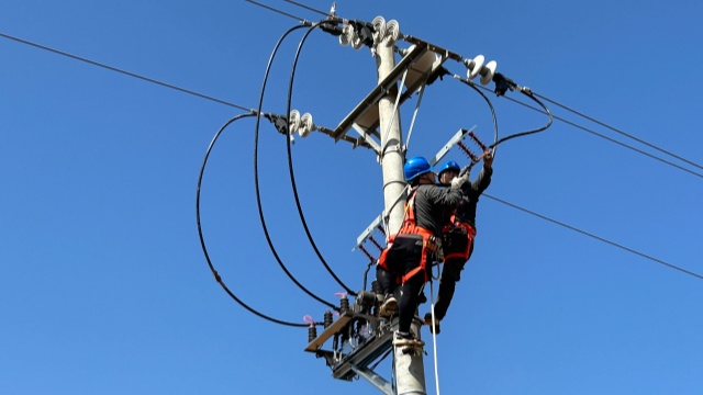 國網泌陽縣供電公司:供電“不斷檔” 民生有保障