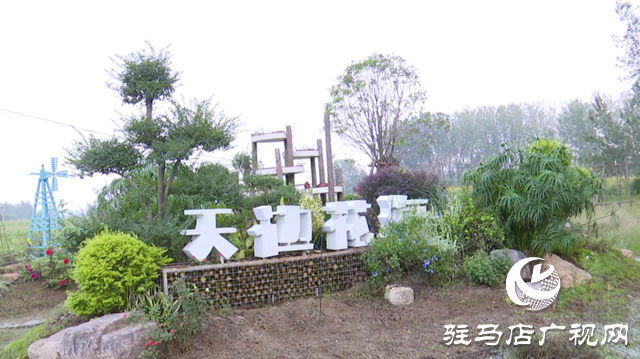 驛城區諸市鎮魏莊村“天邊花海”即將開園