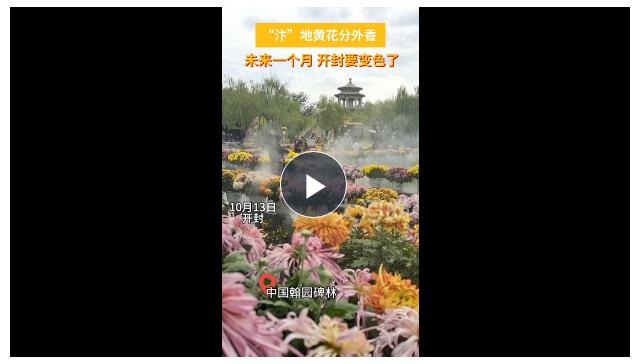 滿城盡帶黃金甲！八朝古都開封又“變色”了！