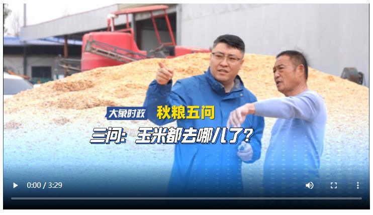 【秋糧五問】三問：玉米都去哪兒了？