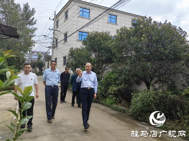 黨建引領風帆勁 鄉村振興譜新篇——上蔡縣拐子楊村以黨建高質量發展助推鄉村全面振興