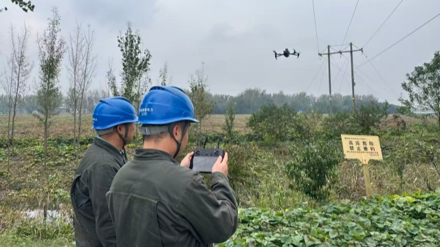 國網新蔡縣供電公司：開展供電線路特巡 確保電網安全穩定運行