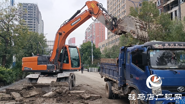 駐馬店市區慎陽路快慢車道提升改造啟動