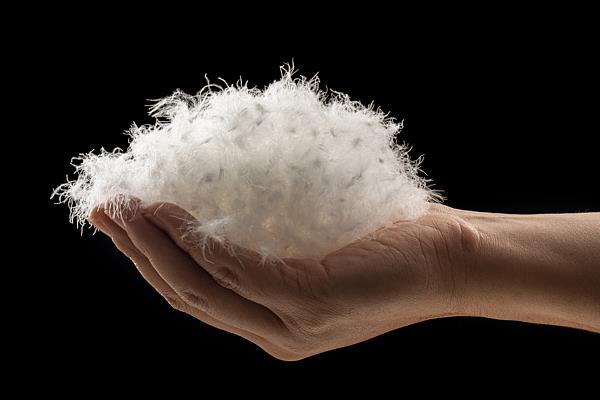 冷空氣來襲，如何正確挑選羽絨服？