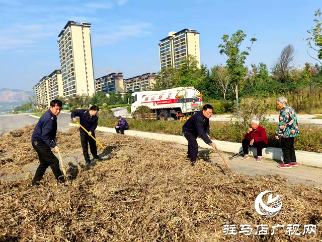 確山縣住建局:暖心解民憂 劃定專屬晾曬區守護秋收
