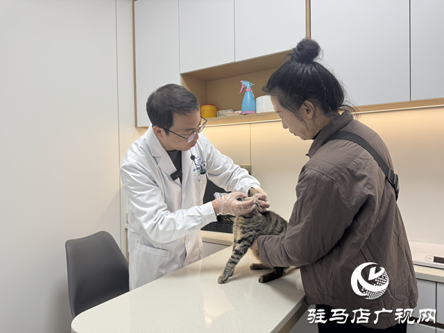 寒冬將至，您的“毛孩子”準備好了嗎？——專業獸醫詳解冬季愛寵養護秘籍