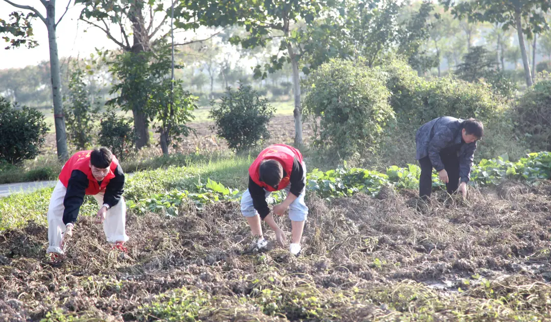 正陽縣人民檢察院開展“重陽敬老傳溫情 搶收助農踐初心”主題黨日活動