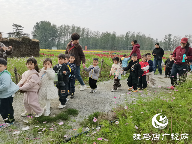 魏莊村“天邊花海”即將開園 兩百畝花田繪就秋日鄉(xiāng)村畫卷??