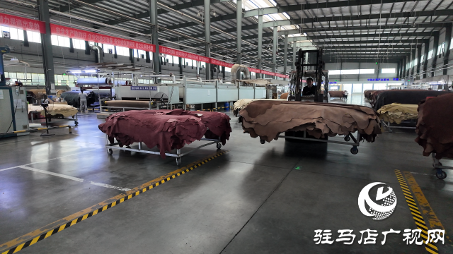 中牛實業:向“新”逐“綠” 促進企業高質量發展