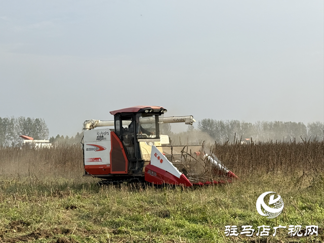 駐馬店市舉辦芝麻機械化收獲現(xiàn)場演示會 ?