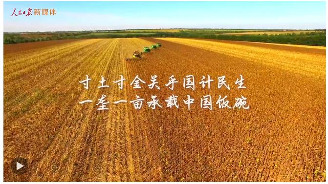 總書記的關切·落地的回響 | 保護黑土地 大國糧倉更穩固