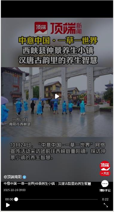 中意中國·一草一世界|仲景養生小鎮：漢唐古韻里的養生智慧