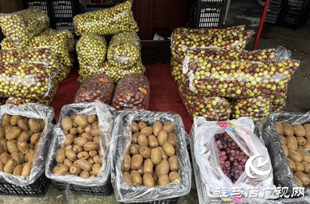 駐馬店：水果市場換季上新 供應充足價格趨穩??