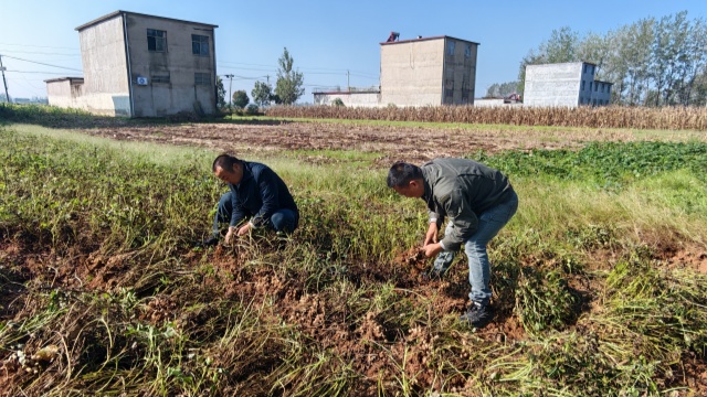 國網新蔡縣供電公司開展金秋幫扶活動