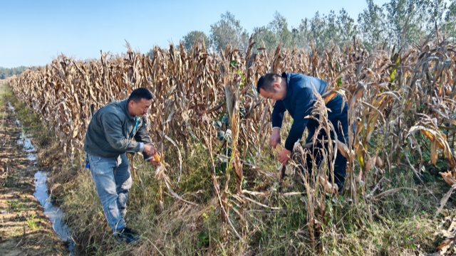 國網新蔡縣供電公司開展金秋幫扶活動