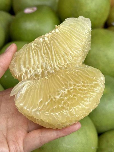 服藥慎吃柚！專家提醒：柚子及制品可能引發(fā)藥物不良反應(yīng)??