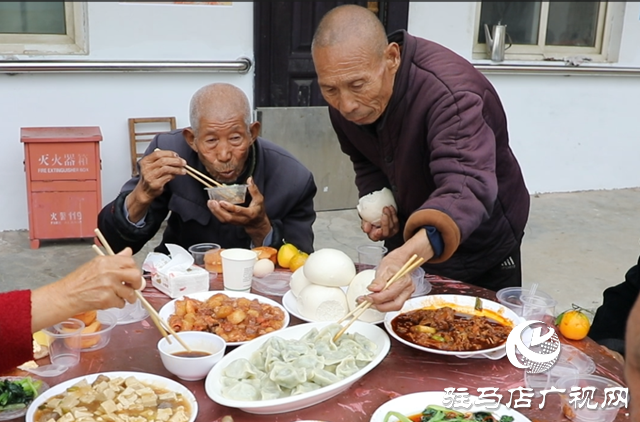 泌陽縣賈樓鄉舉辦2025年重陽節敬老愛老餃子宴志愿公益活動