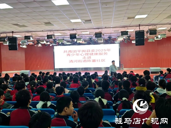 共青團平輿縣委2025年青少年心理健康服務走進陳蕃社區