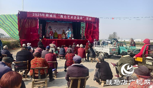 驛城區:舞臺藝術送基層 戲曲演出點亮鄉村文化生活