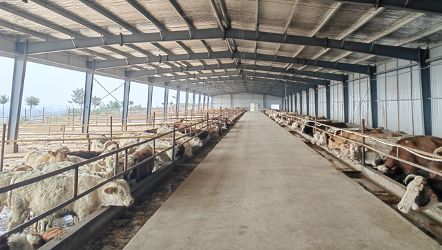 “?！碑a業蹚出富民路