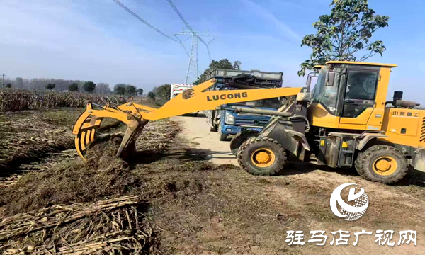 平輿縣射橋鎮:秸稈清運“加速度” 繪就鄉村潔凈新圖景