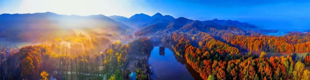 駐馬店秋日漫步指南：抓住秋天的尾巴，在這幾個地方邂逅最美時光