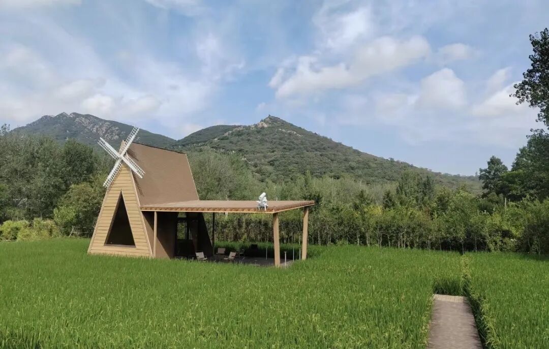 駐馬店秋日漫步指南：抓住秋天的尾巴，在這幾個地方邂逅最美時光