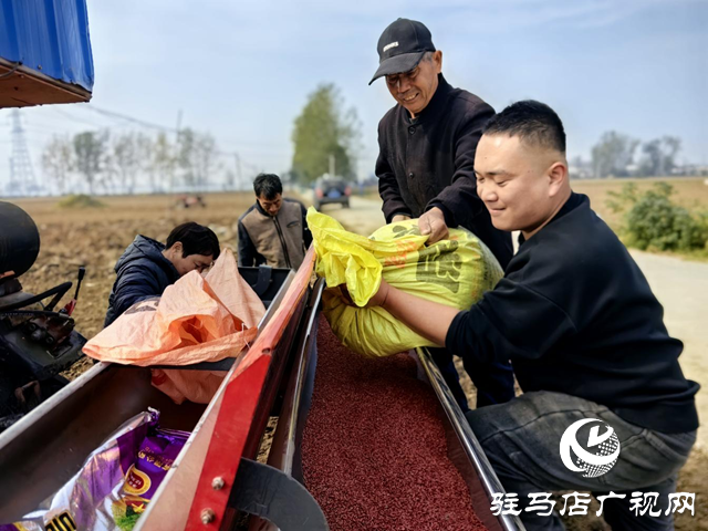 驛城區水屯鎮:搶抓農時推進秋播