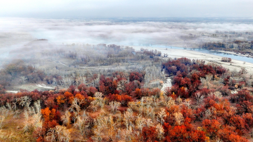 額爾齊斯河新疆北屯段現壯美晨霧景觀