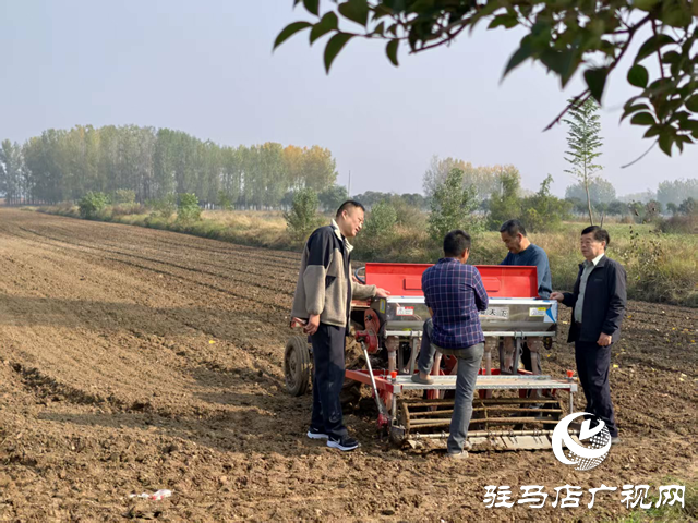 不負農時忙秋播 郭集田間繪新景