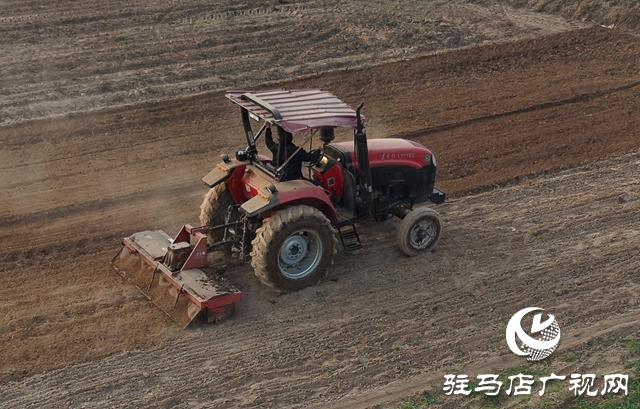 泌陽縣黃山口鄉：“三統籌”護航秋收秋種攻堅戰