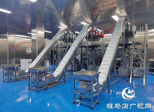 新蔡縣:厚植營商沃土 讓“舌尖產業”成為縣域經濟“頂梁柱”