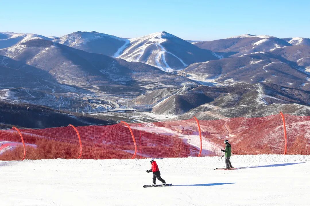 今年，你的消費“悅己”幾何？