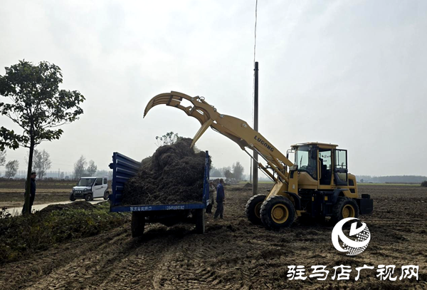 平輿縣玉皇廟鄉(xiāng):干群攜手清秸稈 秋種禁燒雙推進(jìn)