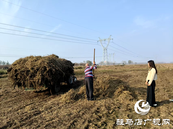 平輿縣李屯鎮:秸稈清運除隱患 全域巡防護藍天