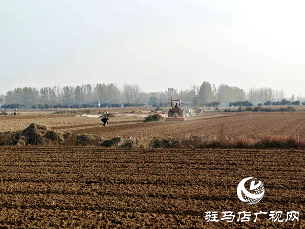 平輿縣射橋鎮：農機助耕正當時 秋播提速保豐收