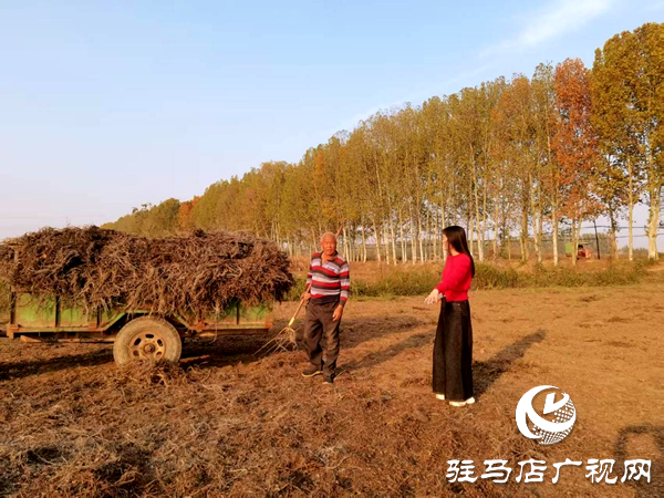 平輿縣李屯鎮:秸稈清運除隱患 全域巡防護藍天
