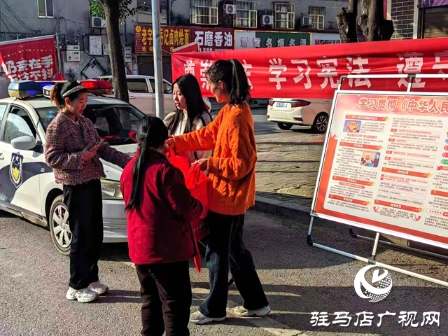 確山縣竹溝鎮(zhèn)開展專項法治宣傳活動