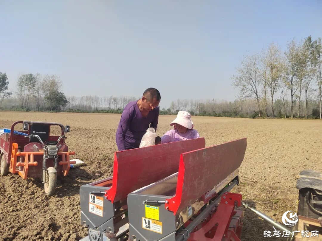 正陽縣冬小麥播種掀熱潮