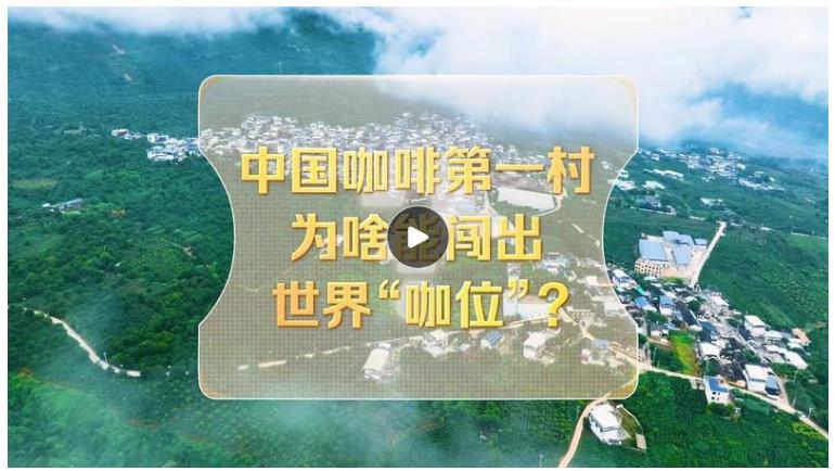 改革者 正青春｜中國咖啡第一村為啥能闖出世界“咖位”？