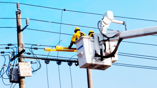 國網平輿縣供電公司:帶電作業除隱患,護航企業穩生產