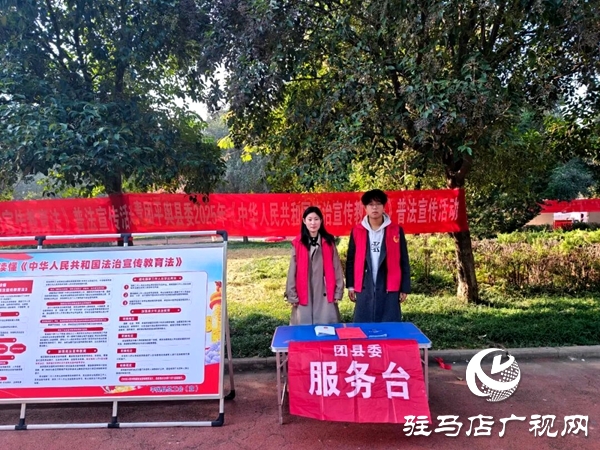 共青團平輿縣委開展2025年法治教育宣傳活動