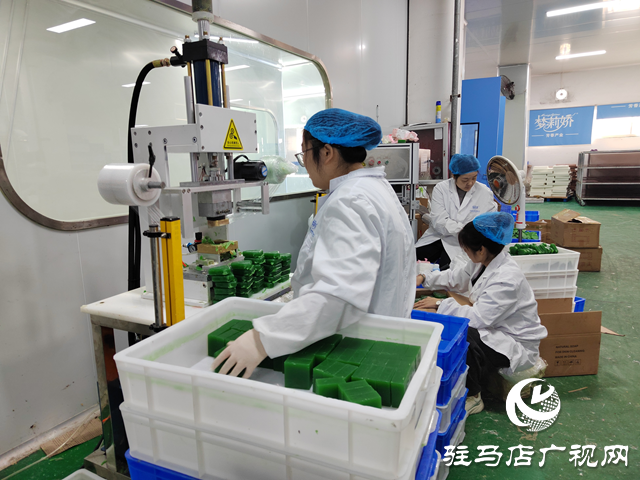 河南杞樂生物科技：奮戰四季度 全力沖刺全年銷售目標