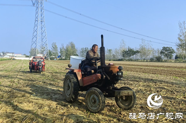 驛城區：農技服務沉一線 秋播麥田“底氣足”