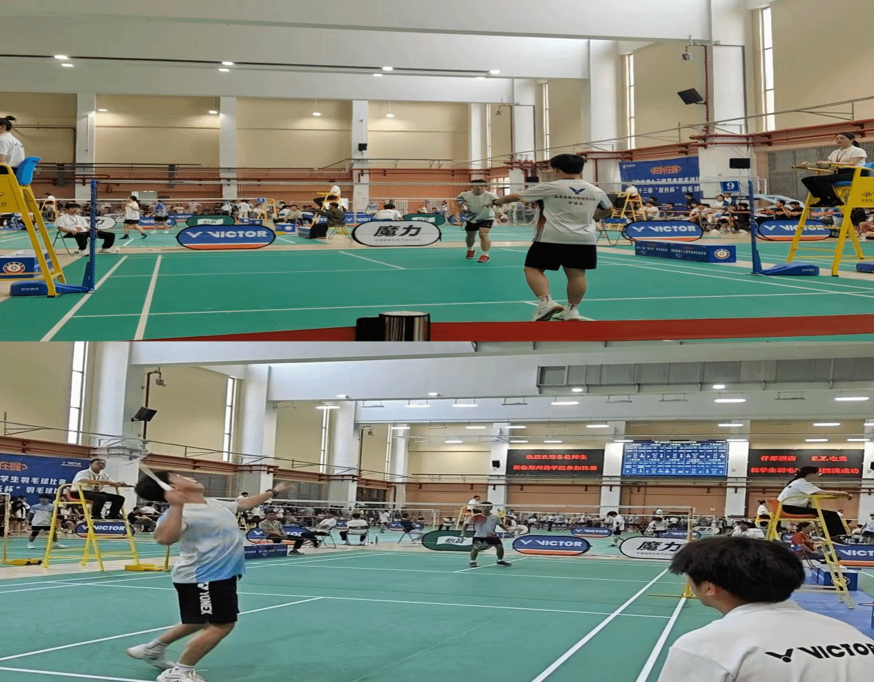  喜報！駐馬店職業技術學院在2025年河南省多項體育賽事中再創佳績