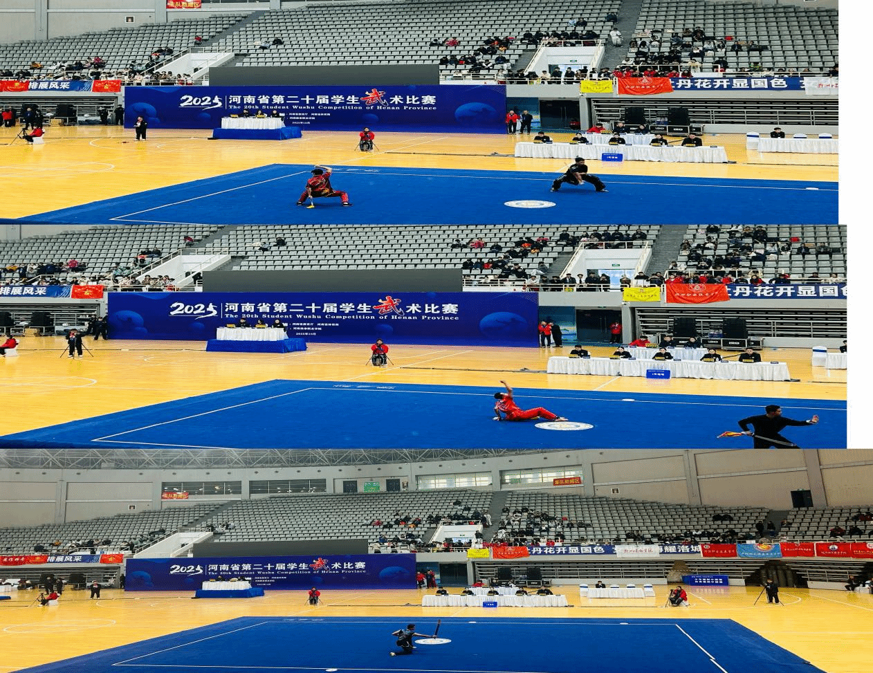  喜報！駐馬店職業技術學院在2025年河南省多項體育賽事中再創佳績