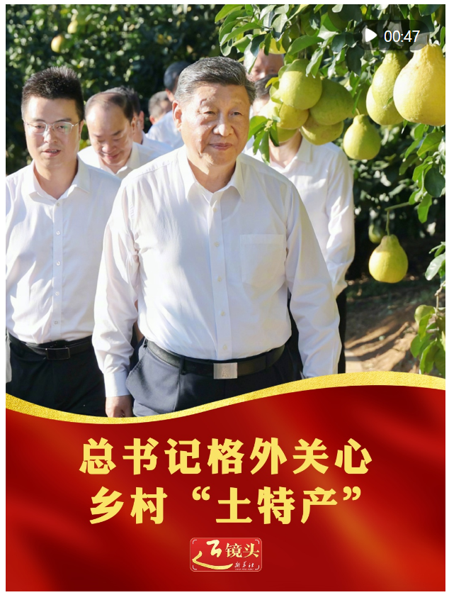 近鏡頭｜總書記格外關心鄉(xiāng)村“土特產”