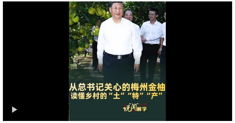 說“聞”解字·從總書記關心的梅州金柚，讀懂鄉村的“土”“特”“產”